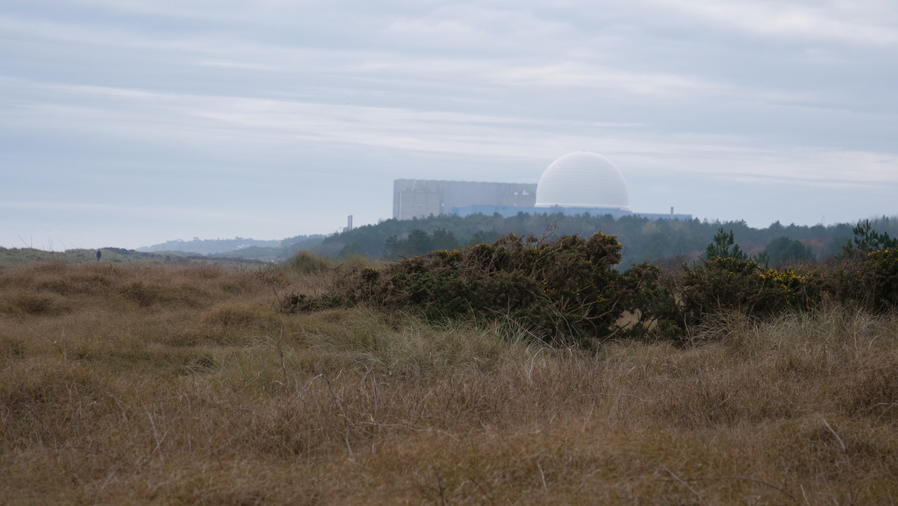 Immaterial Terrain, Emily Richardson