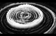 Semiconductor, 20 Hz Semiconductor, 20 Hz