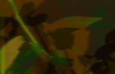 Hydroglyphs: Early Morning Drift, Laurie McDonald Hydroglyphs: Early Morning Drift, Laurie McDonald
