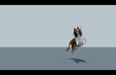 AN ANIMATED DOG READS JOHN BERGER, Matthew Lax AN ANIMATED DOG READS JOHN BERGER, Matthew Lax