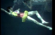 Laurie Simmons: Crossover Series Laurie Simmons: Crossover Series