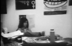 Susan Mogul, Feminist Studio Workshop Videoletter