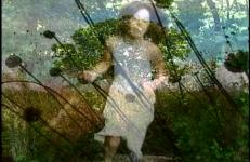 Cecelia Condit, Little Spirits Little Spirits