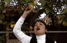 Sing, O Barren Woman Sing, O Barren Woman