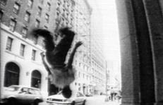Jem Cohen, This is a History of New York This is a History of New York